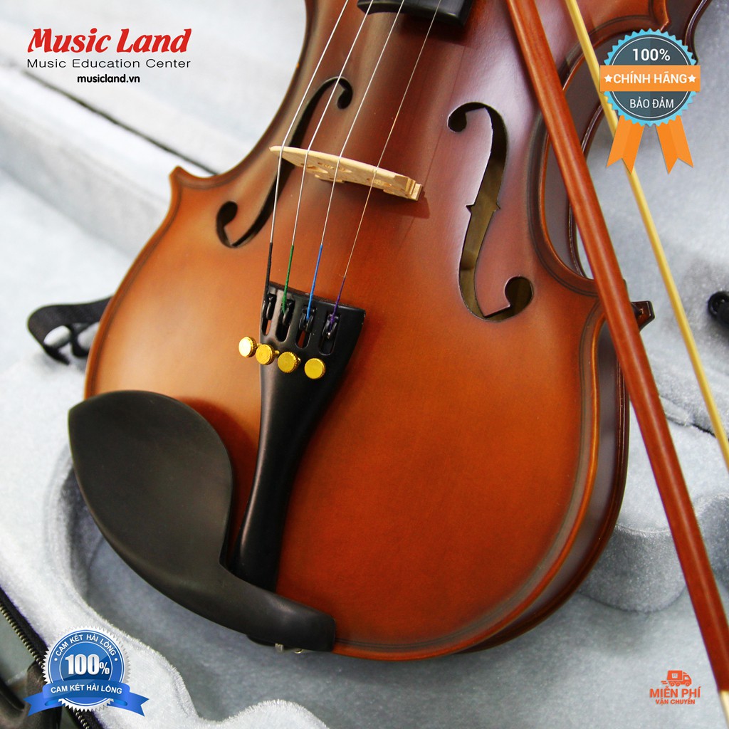 Đàn Violin Victoria - Chính hãng