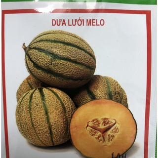 Hạt giống dưa lưới Melo 10H