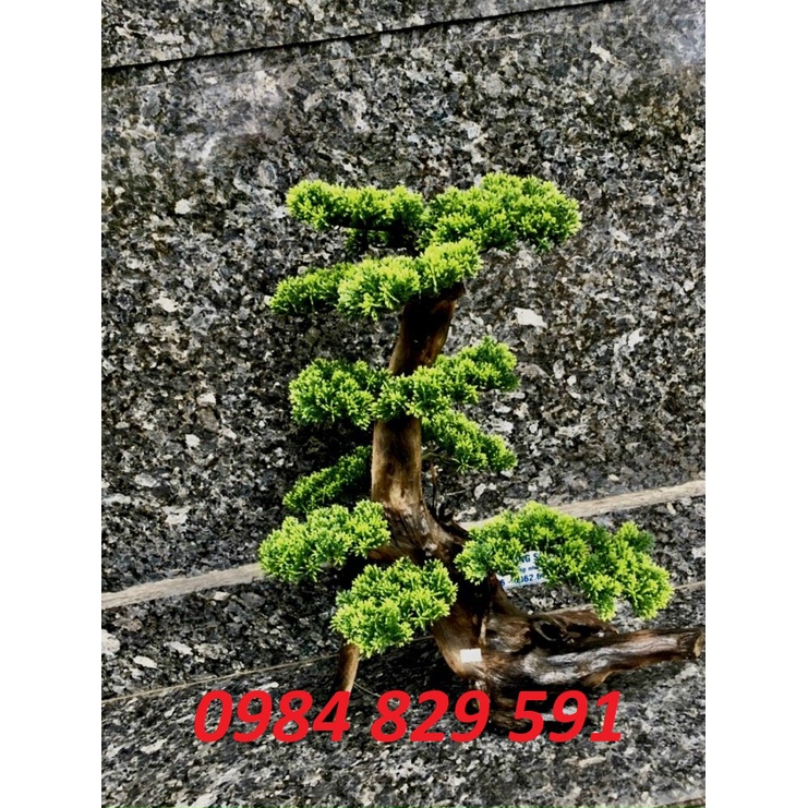 Cành Tùng Giả Làm Cây Trang Trí Siêu Đẹp