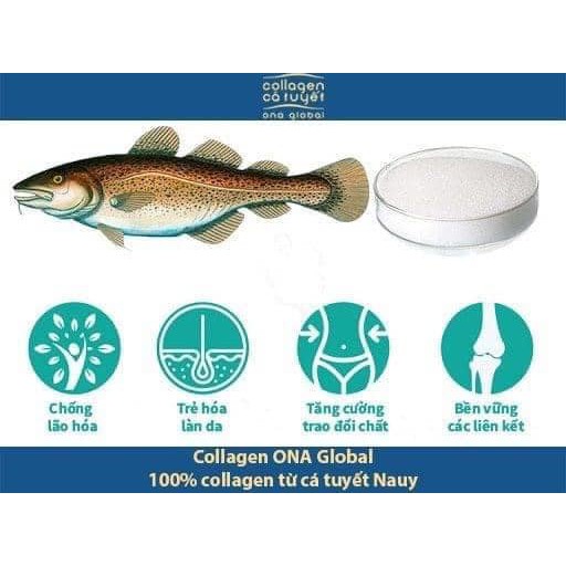 [Mua 5 tặng 1] Combo 5 hộp Collagen cá tuyết Nauy Cocayhoala làm đẹp da, da săn chắc, căng bóng ngậm nước ẩm mượt | BigBuy360 - bigbuy360.vn