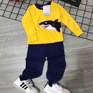 Combo 3 bộ bozip thu đông
