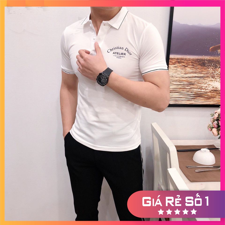 Áo Polo Nam Dior in logo ngực