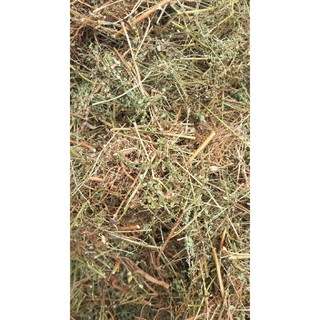 cây chó đẻ phơi khô 1kg