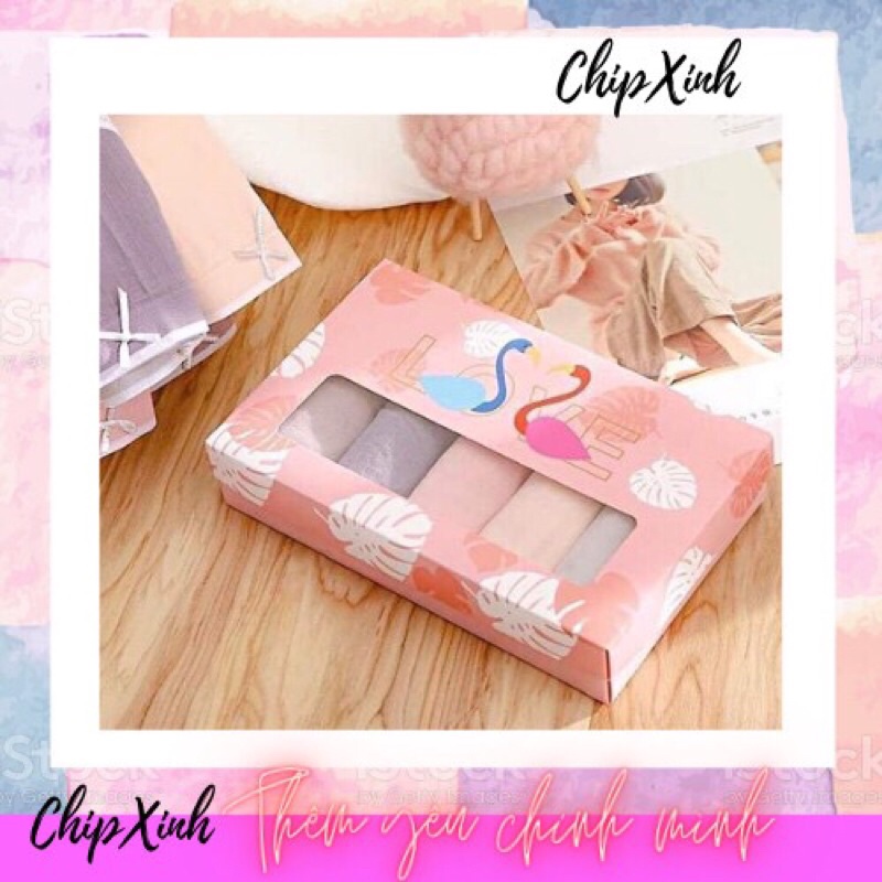 Quần lót nữ cotton thiên nga hộp 5 quần đủ màu mã CX08