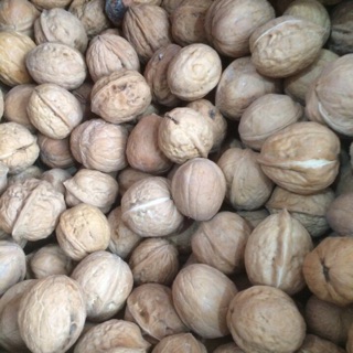 Quả Óc chó - Quả của các vị thần