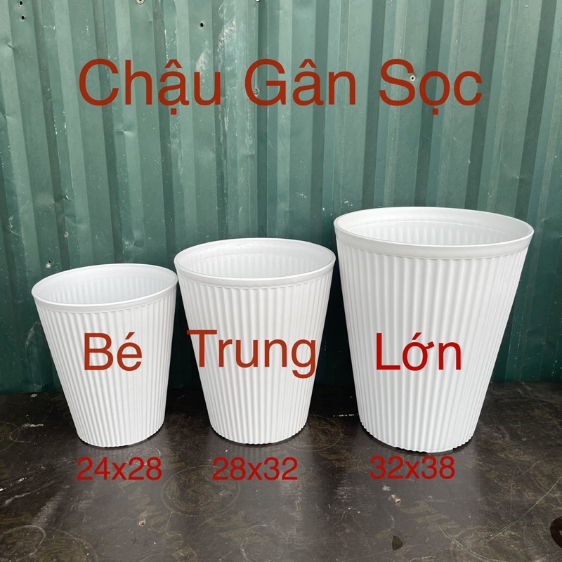 3 Chậu nhựa trồng cây hoa gân sọc dọc loại cao cấp đủ size COMBO 03 CHẬU
