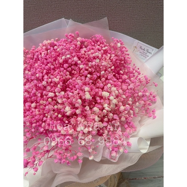 Bó hoa Babi khô cao cấp, đã qua sấy xử lý, ko mốc hỏng, chơi cực bền