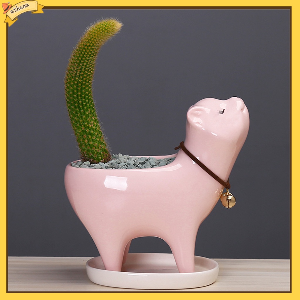 Chậu trồng cây trang trí hình mèo con dễ thương