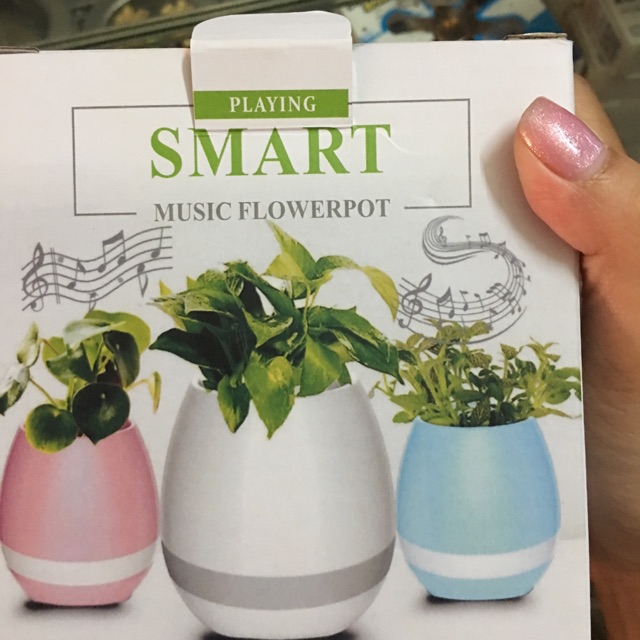 Loa Bluetooth trồng cây SMART