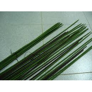Cành kẽm 1 bó (100cây)