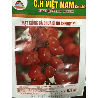 Hạt giống Cà Chua F1 🌱