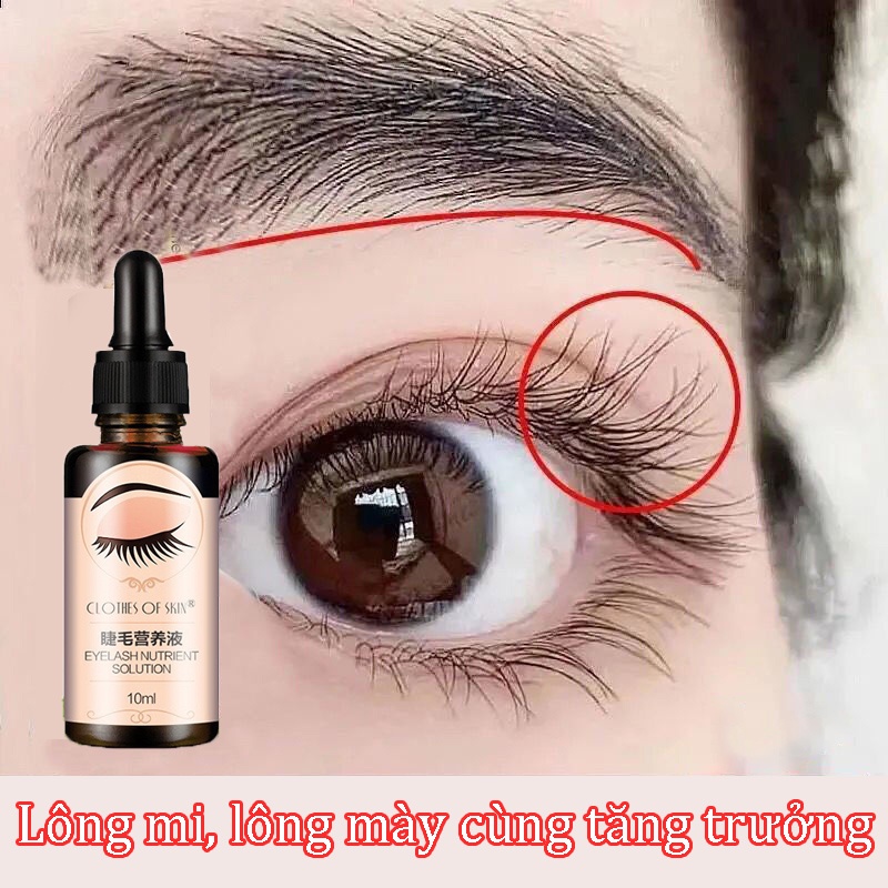 Dưỡng Mi Serum Tăng Trưởng Lông Mi Tinh Chất Dài Lông Mày 10ML Kích Thích Mọc Lông Mi Làm Dày Lông Mi Lông Mày Và Đường Chân Tóc Mọc Nhanh Tự Nhiên Nuôi Dưỡng Mi Dài Và Cong