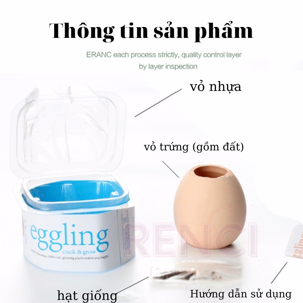 Cây Cảnh Để Bàn Mini Trồng Trong Vỏ Trứng