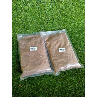 CÁT BUDDY NÂU CHO HAMSTER 1KG