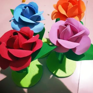 Hoa hồng khóm đơn