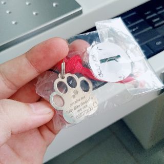 Pet's name bảng tên thú cưng