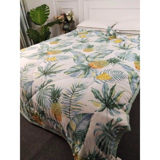 2 chăn zara dương xỉ
