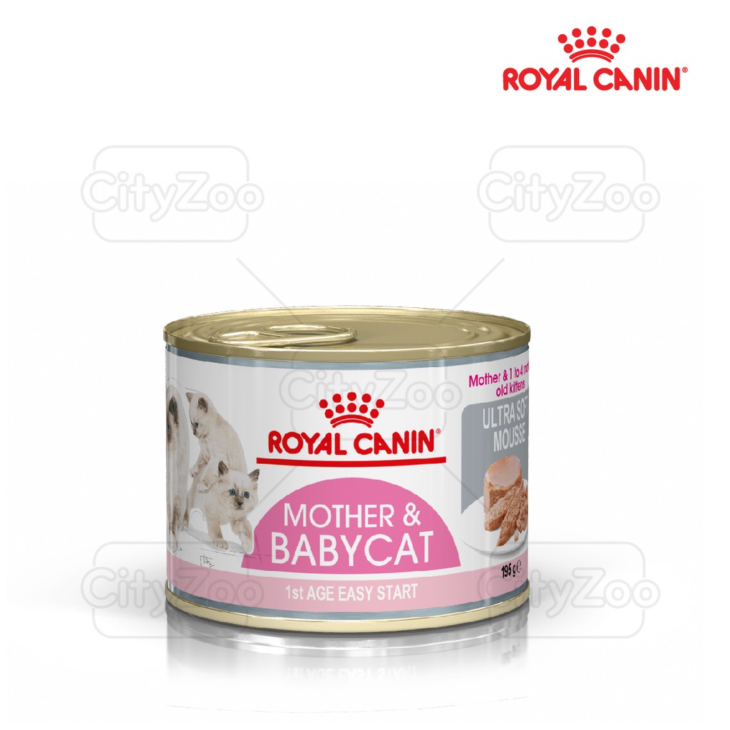 Thức ăn mềm cho mèo mẹ và mèo con Royal Canin Mother and Babycat 195g