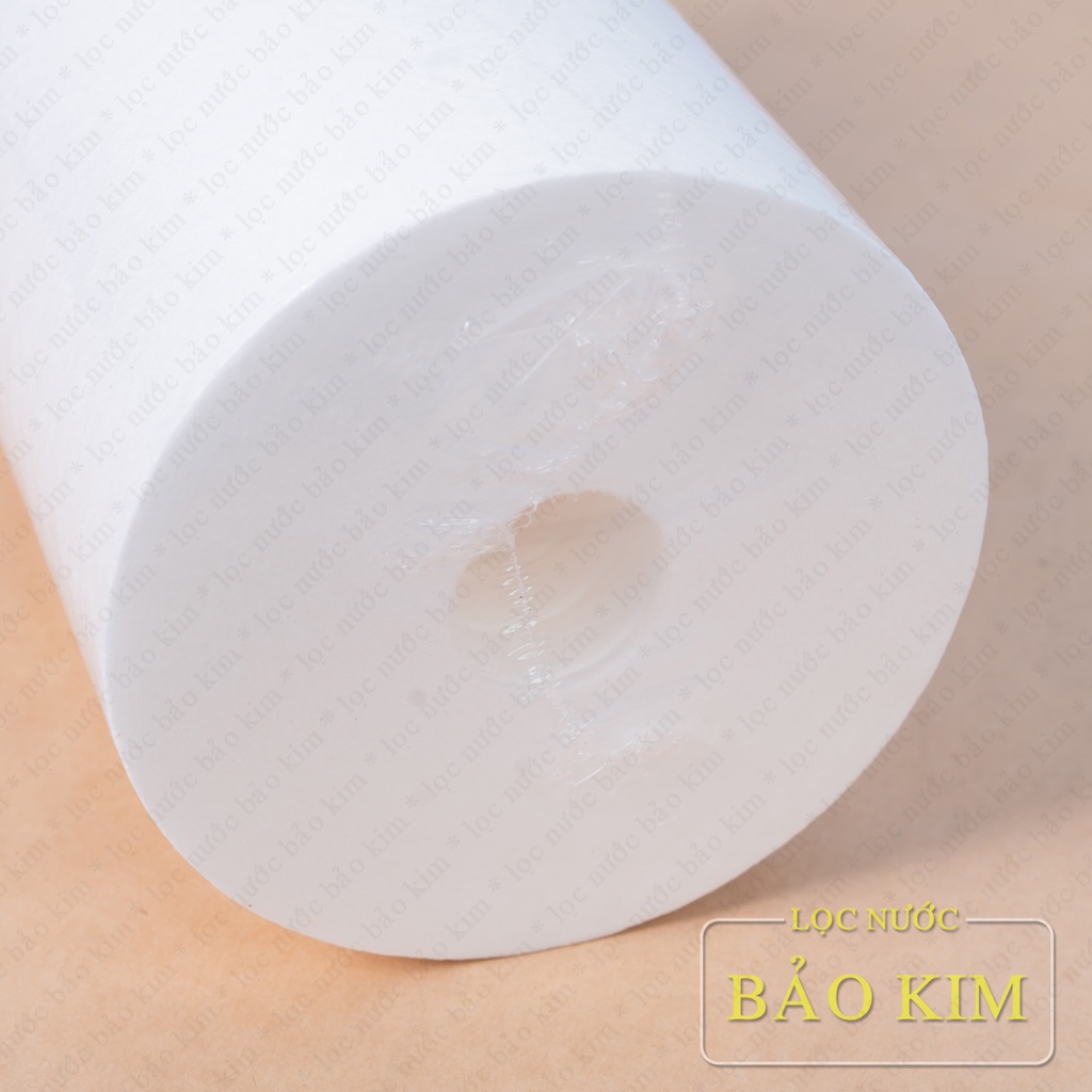 Lõi lọc thô Bigblue 10 inch dùng cho cốc béo 10 inch SMY