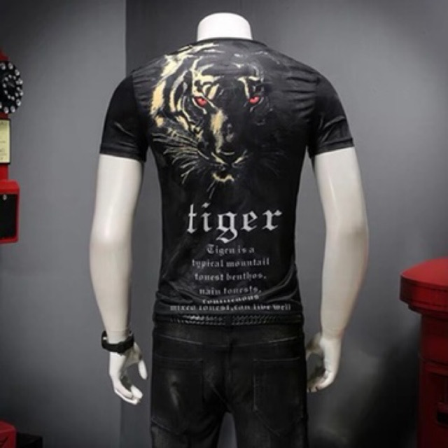 Áo Thun Nam Thể THao Co Dãn Nhiều Mẫu TCS 201 | BigBuy360 - bigbuy360.vn