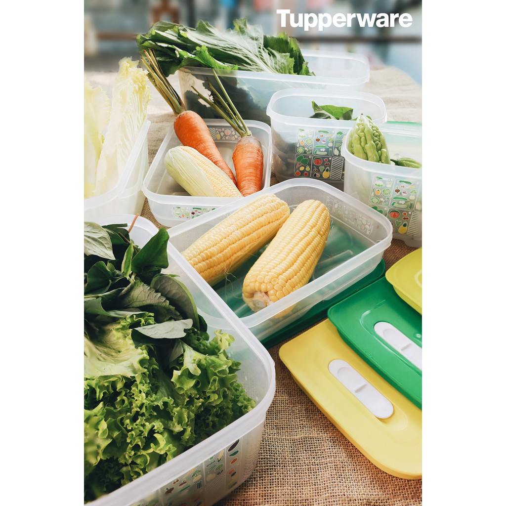Tupperware Lẻ Ventsmart Các loại 800ml, 1.8L, 4.4L, 6.1L