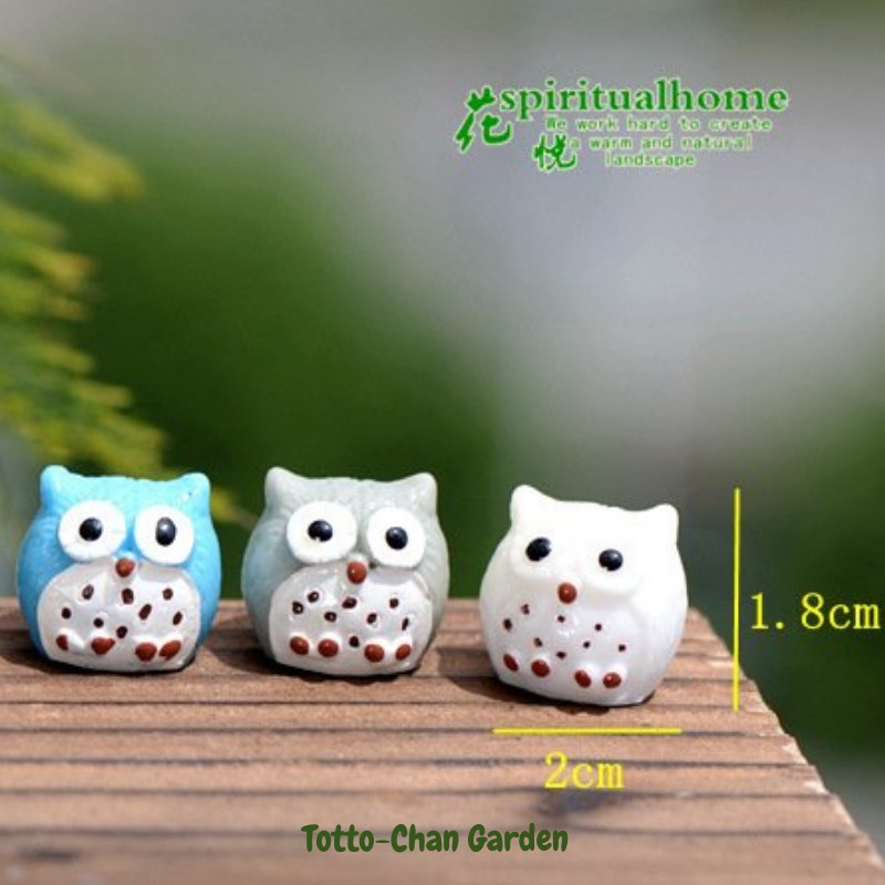 Phụ kiện tiểu cảnh mini - Tượng Cú các mầu trang trí tiếu cảnh terrarium mini