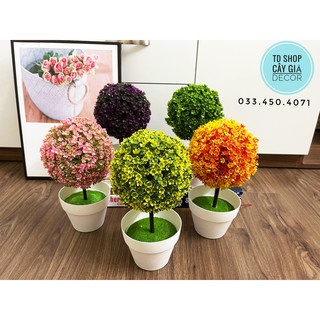 Chậu hoa cẩm tú cầu - cây giả decor