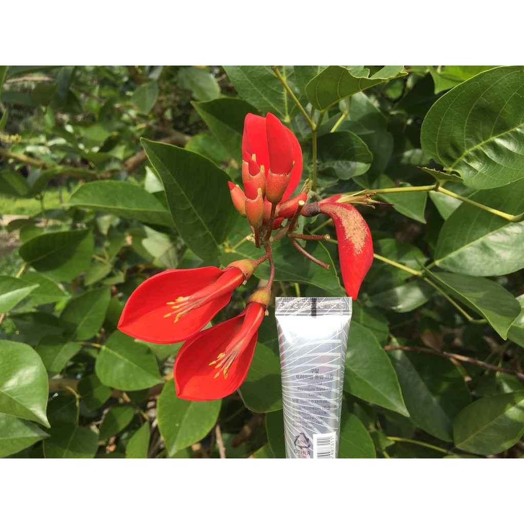 Kem Ốc sên mini Goodal Premium Snail Tone