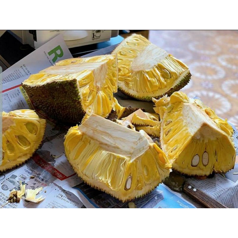 (Giao hỏa tốc) Mít thái quê 25k/kg | BigBuy360 - bigbuy360.vn