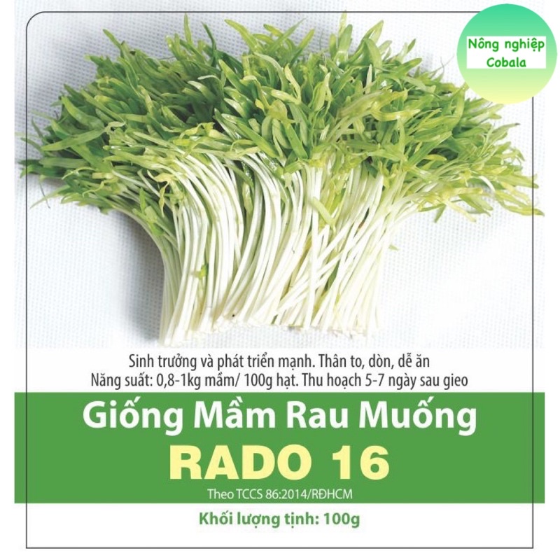 Hạt Giống Mầm Rau Muống (RD16) Dễ Trồng 100gr