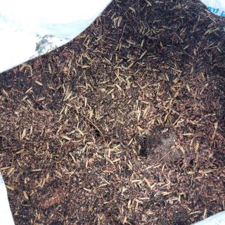 Hỗn Hợp Tro Trấu Xơ Mụn Dừa [1 Kg] - Giá thể trồng cây.