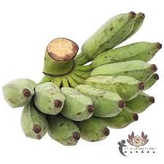 Chuối Sứ to đều trái già, ngon dẻo ngọt