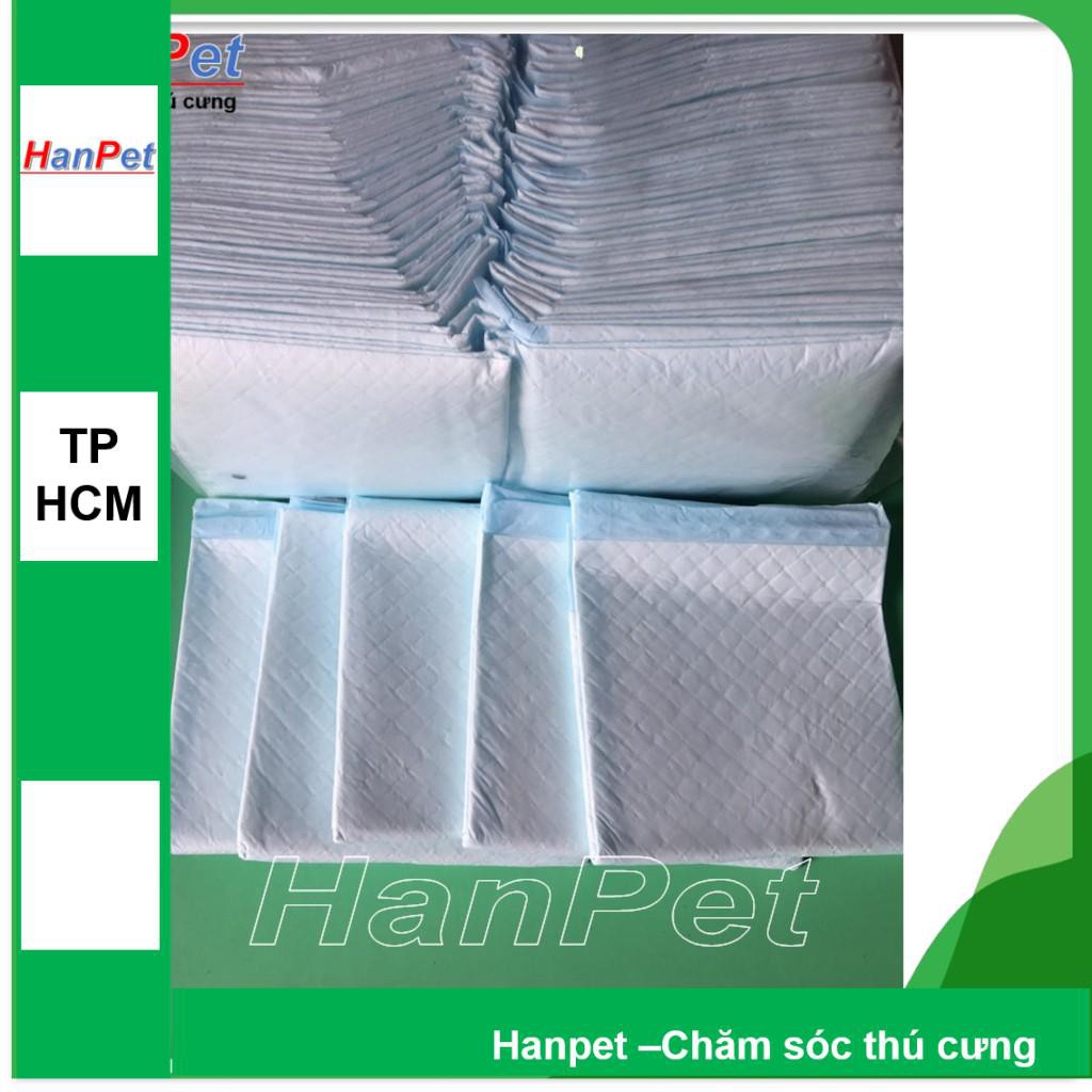 Hanpet.GV- 10 miếng tã lót khay vệ sinh size to 45x60cm, lót chuồng chó, lót sàn xe- (- 393c)