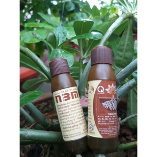 Kích thích ra rễ N3M (1 chai 20ml)