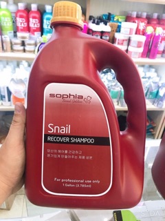 DẦU GỘI PHỤC HỒI TÓC HƯ TỔN 3785ml