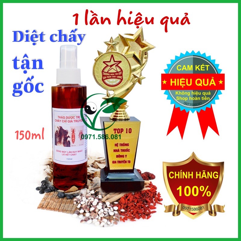 Ủ Chấy Chí Gia Truyền. Dầu Gội Diệt Chấy Chí. Hàng Công ty. Chai 150ml. | BigBuy360 - bigbuy360.vn