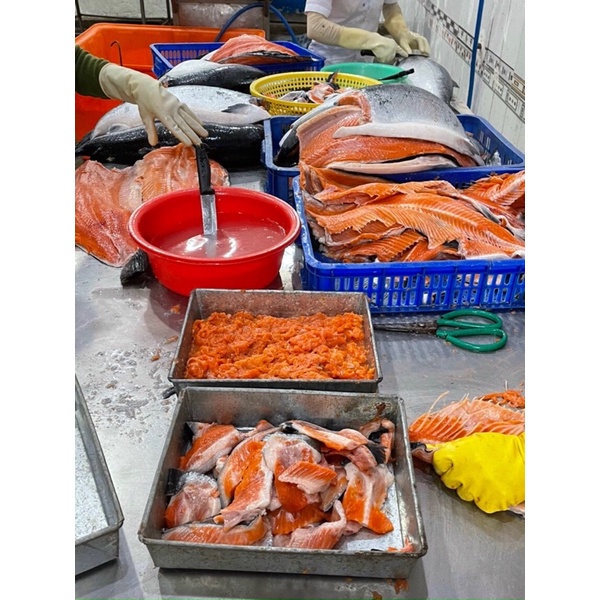 [HỎA TỐC SG] Lườn cá hồi Nauy béo thơm bổ dưỡng 500g