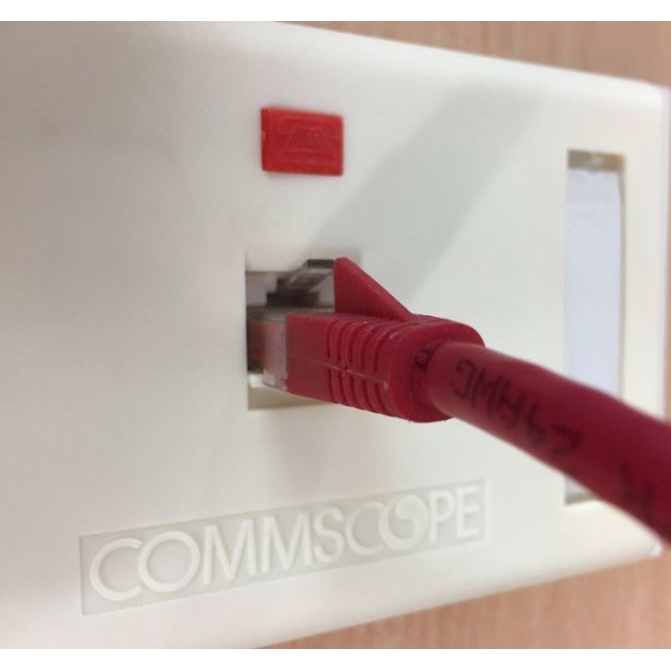 Mặt ổ cắm mạng âm tường COMMSCOPE/AMP 1 cổng, 2 cổng CHÍNH HÃNG