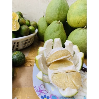 BƯỞI 5 ROI [trái 1kg đến 1.3kg]
