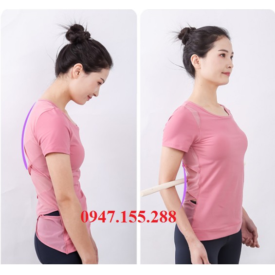 Cây gỗ bạch lạp