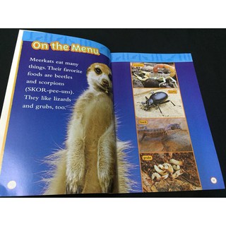 Bộ nhập - National Geographic Kids (Level 1 - 38q)