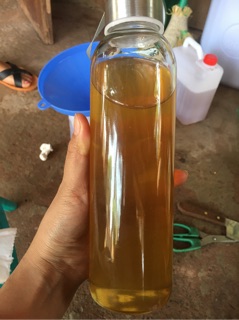 mật ong rừng 0,5l