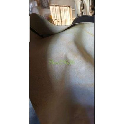 Da yên zin bóng xipo