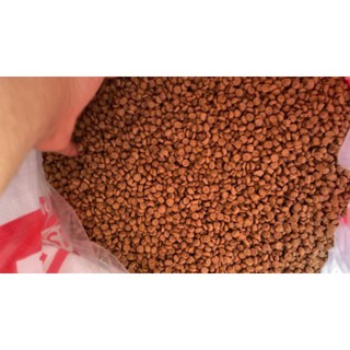 Hạt Thức Ăn khô chó mèo 1KG