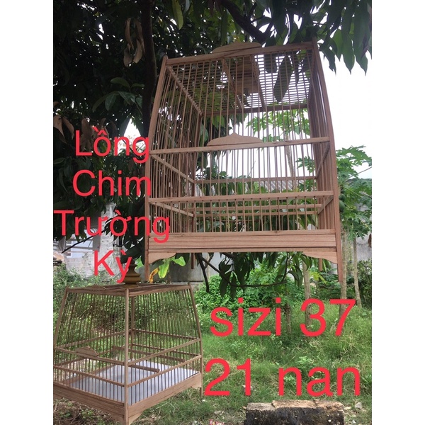 Khung lồng chim chào mào, thái đấu, tự ráp rễ dàng