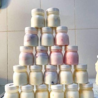 Lố 10 hộp nhựa làm sữa chua
