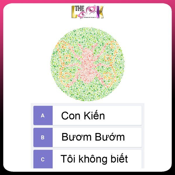 KÍNH ÁP TRÒNG MÙ MÀU