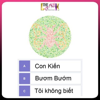 [HOẢ TỐC HCM] KÍNH ÁP TRÒNG MÙ MÀU