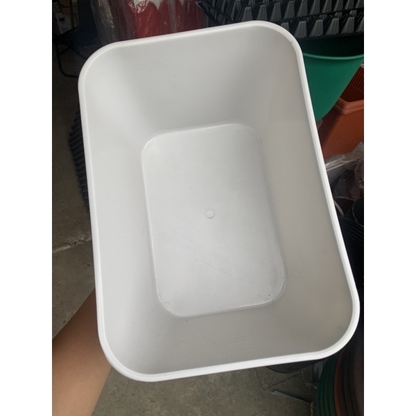 Khay nhựa nuôi cá con , dưỡng cá - 29 x 20 x 16 - 7 lít