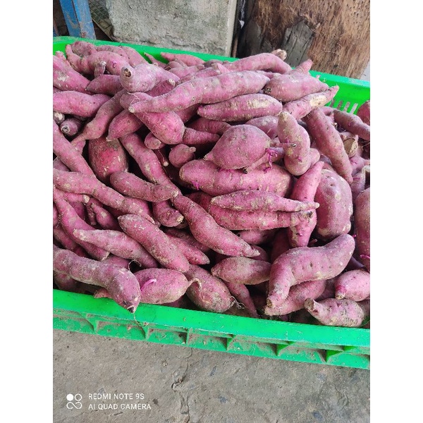 Khoai lang mật.khoai lang nhật.. GIÁ BÁN.GIÁ RẺ 1kg/23K